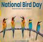 National Bird Day thumbnail