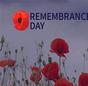 REMEMBRANCE DAY thumbnail